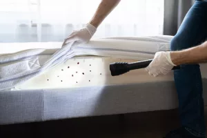 Man inspects a mattress for bed bugs using a torch