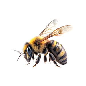 bee pest control avatar